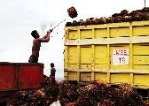 Foto: Cilts sievietes un saldūdens delfīnu meklējumi Borneo